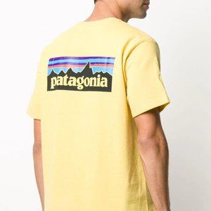 Patagonia - P-6 Logo Responsibili-Tee® T-shirt